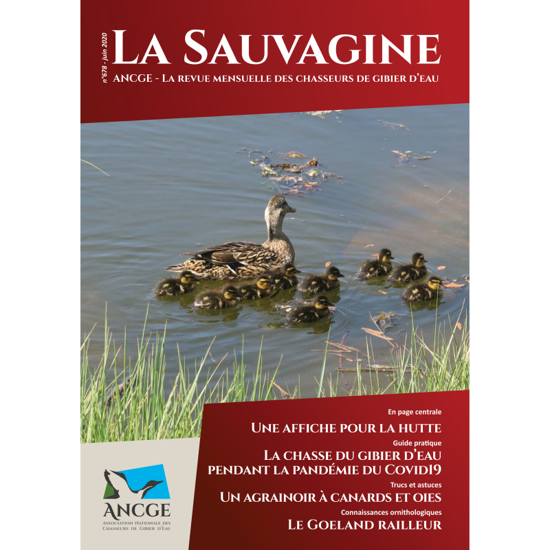 JUIN 2020